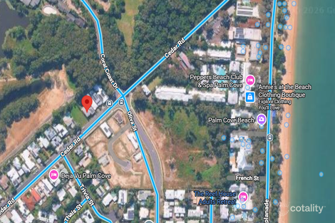 Property photo of 46 Cedar Road Palm Cove QLD 4879