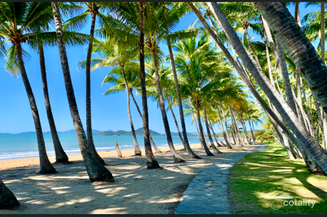 Property photo of 46 Cedar Road Palm Cove QLD 4879