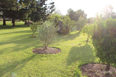 Property photo of 16 Omaru Street Loganholme QLD 4129