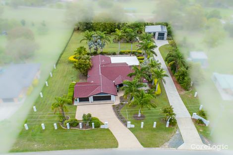 Property photo of 7 Mobbs Place Ormeau QLD 4208