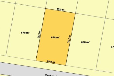 11 Wallum Cres, Woongarrah, NSW 2259