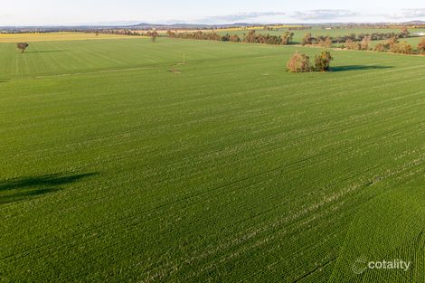 611 Bredins Lane, Coolamon, NSW 2701