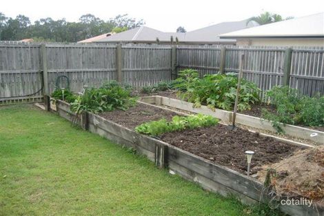 Property photo of 43 Skyline Drive New Auckland QLD 4680