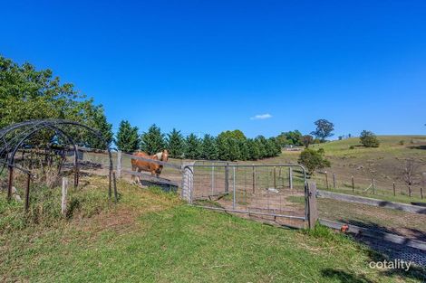 Property photo of 104 Grosses Creek Link Road Buckajo NSW 2550