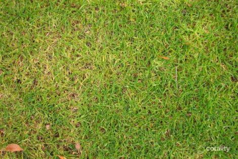 19 Seaview Ave, Safety Beach, VIC 3936