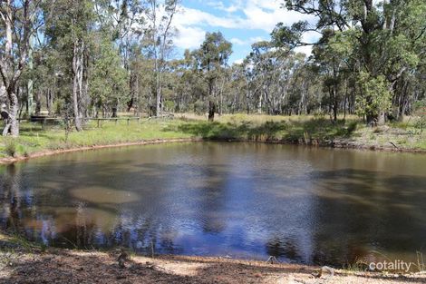 Property photo of 259 Wonga Roo Road Bungaba NSW 2852