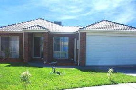 33 Bellbrae Cres, Cranbourne West, VIC 3977