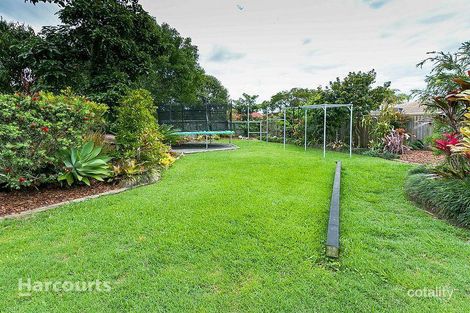 Property photo of 6 Bloodwood Court Kawungan QLD 4655