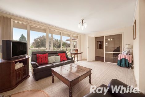 Property photo of 12 Walnut Court Mulgrave VIC 3170