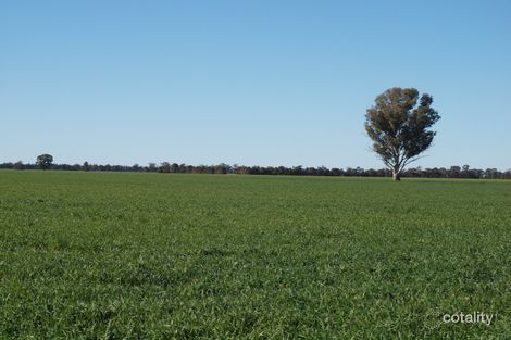 2804 East West Rd, Methul, NSW 2701