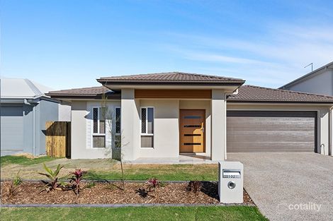 Property photo of 102 Morna Street Newport QLD 4020