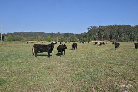 317 Round Mountain Rd, Round Mountain, NSW 2484