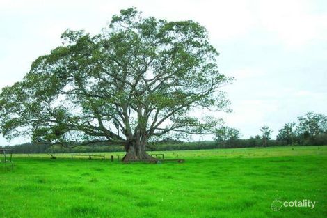 Property photo of 296 Glenthorne Road Glenthorne NSW 2430