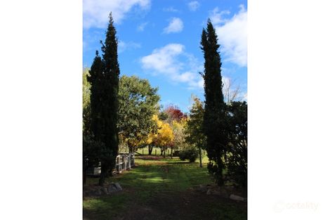 Property photo of 50 Wood Street Tenterfield NSW 2372