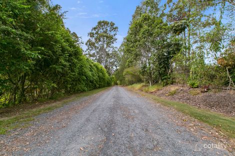 Property photo of 43 Birdlife Court Nerang QLD 4211
