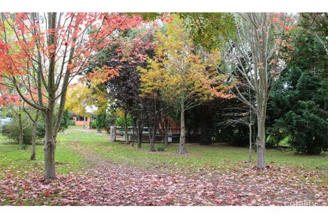 Property photo of 50 Wood Street Tenterfield NSW 2372