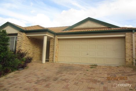 Property photo of 3 Kiewa Place Kuraby QLD 4112