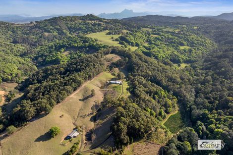 221 Duroby Creek Rd, Duroby, NSW 2486