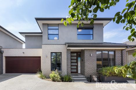 4/4 Camelia St, Box Hill, VIC 3128