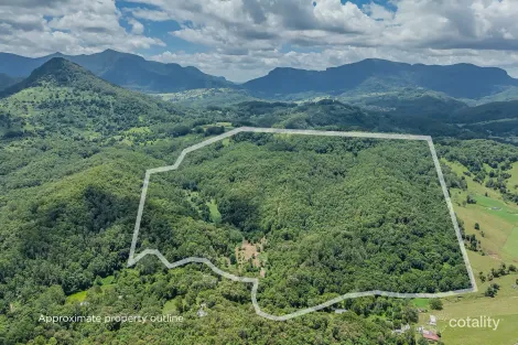 270 Zara Rd, Zara, NSW 2484