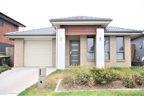 19 Bowerman Rd, Elderslie, NSW 2570