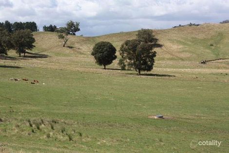 580 Spring Valley Rd, Flowerdale, VIC 3717