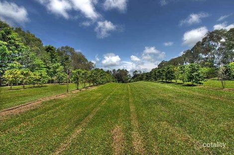 Property photo of 193 Highland Drive Julatten QLD 4871