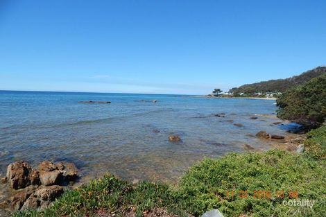 Property photo of 3 Sice Avenue Heybridge TAS 7316