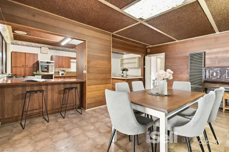 Property photo of 19 Rhodes Street Springvale VIC 3171