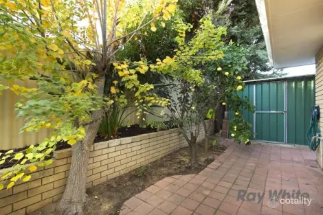 Property photo of 49A Hanrahan Loop Kardinya WA 6163