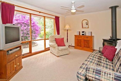 Property photo of 11 Darwin Avenue Hawthorndene SA 5051