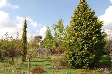 Property photo of 19 Ashburner Street Carrick TAS 7291