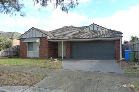 Property photo of 13 Rowcroft Avenue Lynbrook VIC 3975