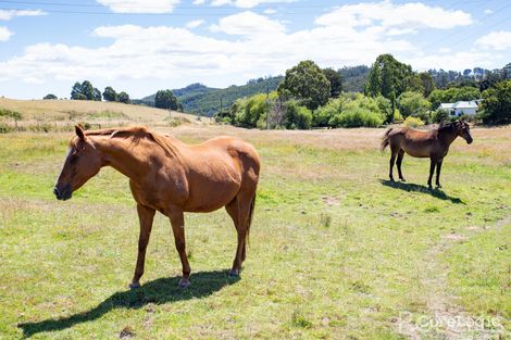 Property photo of 2034 Frankford Road Frankford TAS 7275