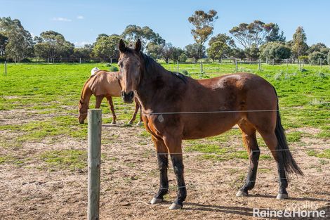 Property photo of 32 Trainers Way Strathalbyn SA 5255