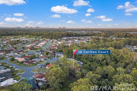 Property photo of 12 Carlton Court Upper Caboolture QLD 4510