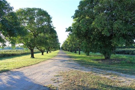 Property photo of 974 Ayr Dalbeg Road Airville QLD 4807