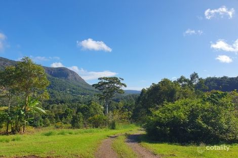 3053 Nerang Murwillumbah Rd, Natural Bridge, QLD 4211
