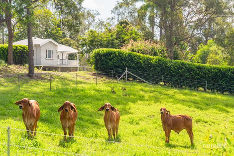 Property photo of 4 Kinen Lane Canina QLD 4570