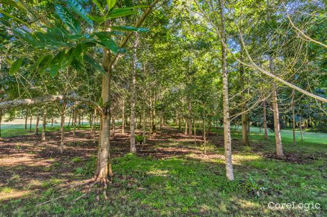 Property photo of 146 Pearces Creek Road Alstonville NSW 2477