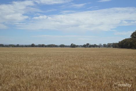 Property photo of 59 Snelsons Lane Gulgong NSW 2852