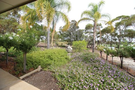 Property photo of 124 Smyth Road Cadell SA 5321