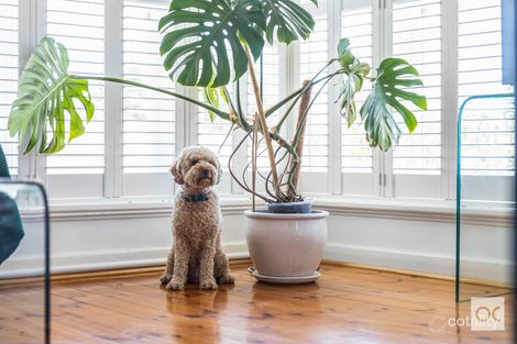 Property photo of 7/31A Towers Terrace South Plympton SA 5038