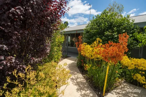 3 Somerville St, Manjimup, WA 6258