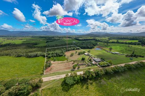 250 Dingo Pocket Rd, Dingo Pocket, QLD 4854