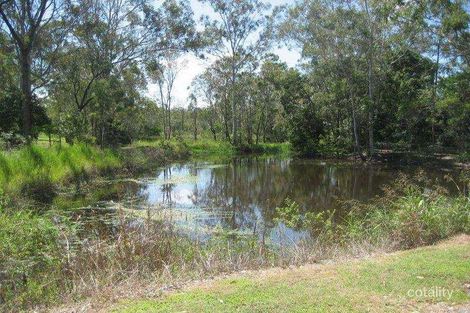 Property photo of 25 Williams Road Burua QLD 4680