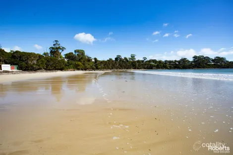 Property photo of 16 Beach Crescent Greens Beach TAS 7270
