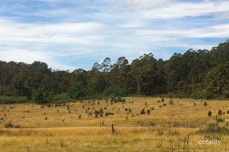 258 Bezzants Rd, Nugent, TAS 7172