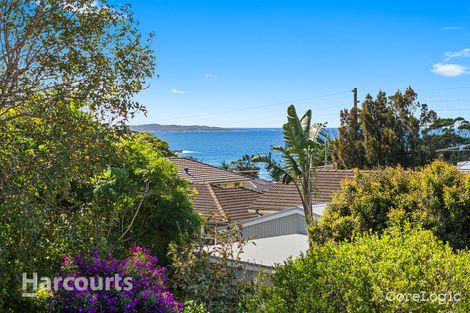 Property photo of 19 Hollings Drive Kiama Downs NSW 2533