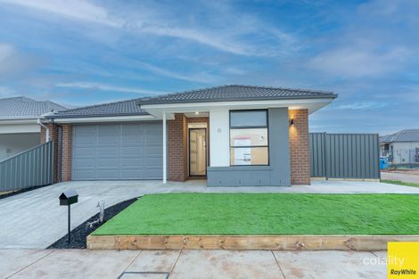 19 Hanover Cct, Melton South, VIC 3338